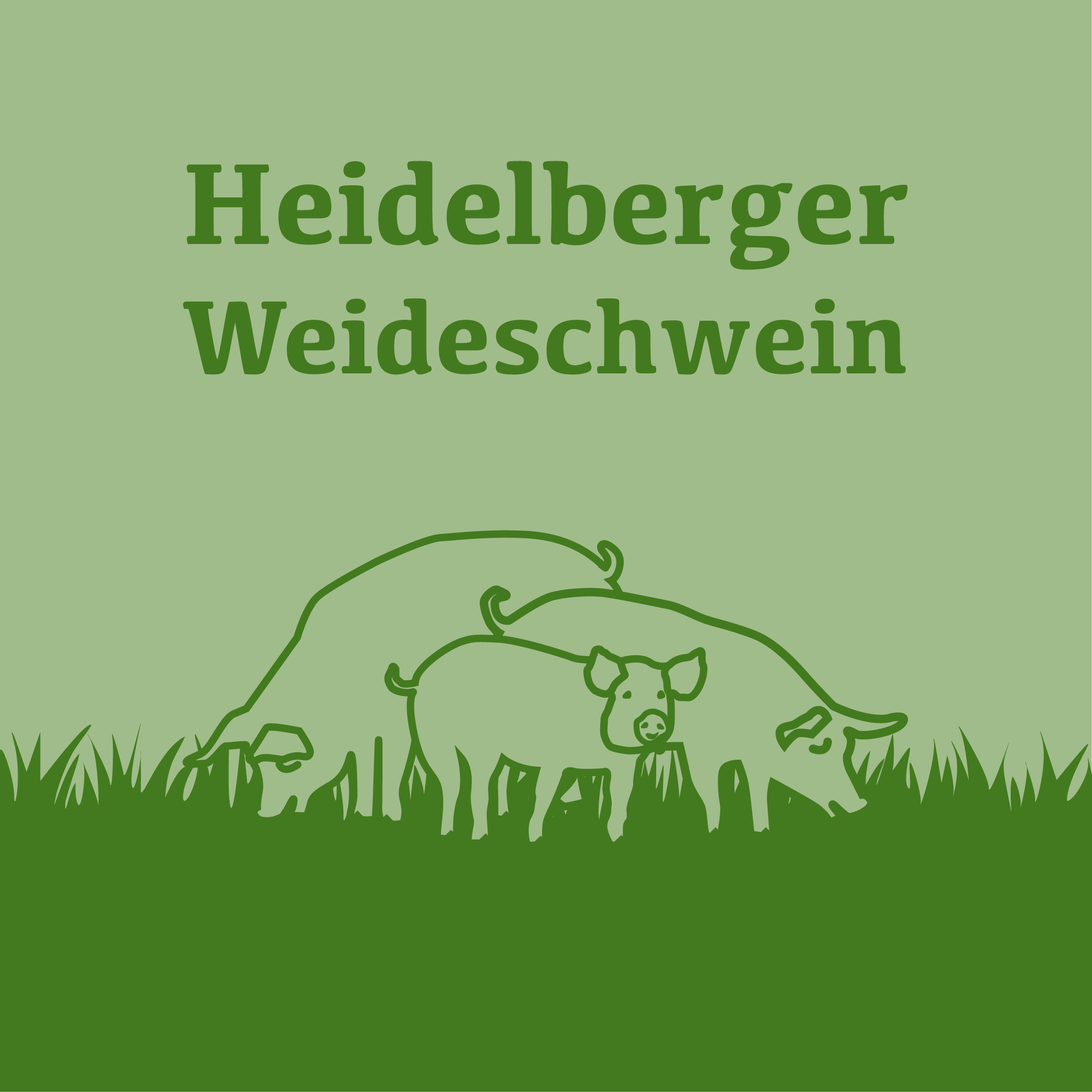 Das Heidelberger Weideschwein vom Bauernhof Koch